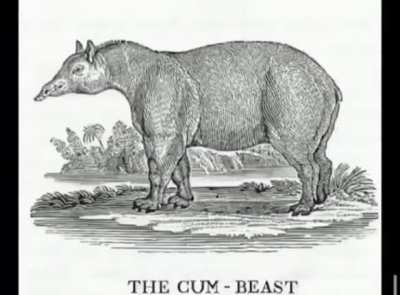 The cum beast