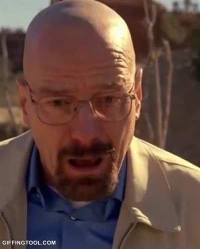 Hank schrader mungus x/post from shortclips
