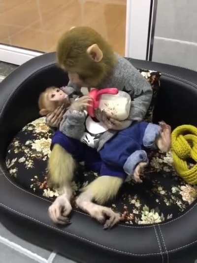 It's feeding time