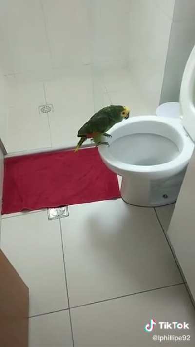Singing in the shower