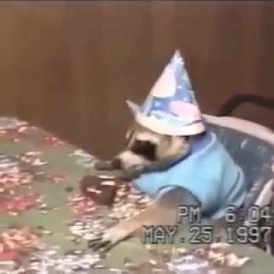 Happy birthday anabelle🥳🎉