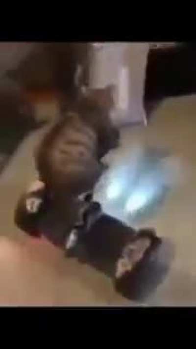 olha o grau do pai