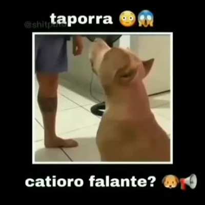 Scooby-Doo