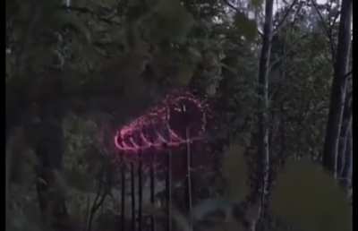 Sound intake fan with attached lights that form patterns with sounds of the forest