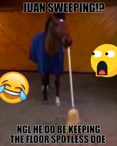 Juan horse sweep!??? Poggers😲😲