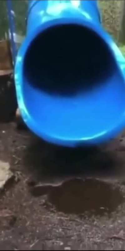Childs First slide