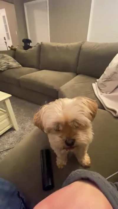 Give me that hand