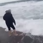 Saving a sea turtle from certain doom