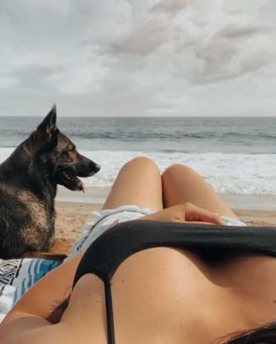 The view you need
