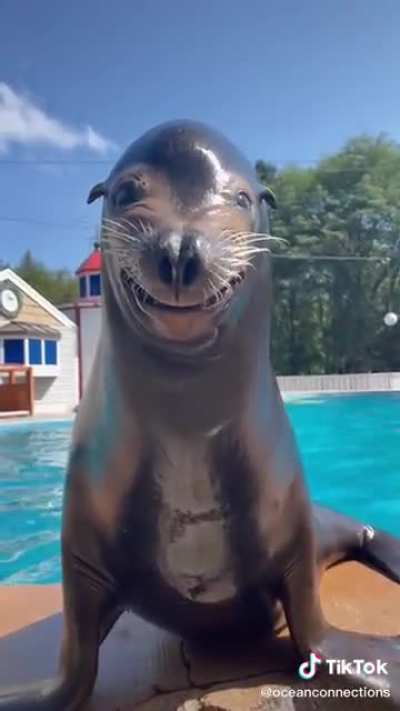 Smile