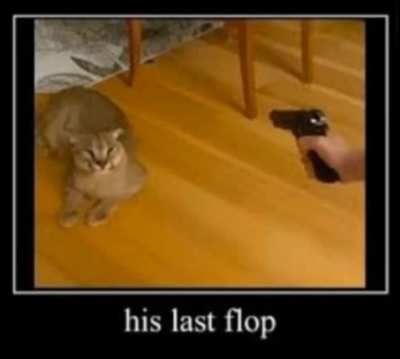 I hate this fucking cat