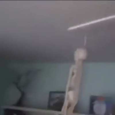 Sans is attacking