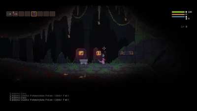 The Polymorph Experience