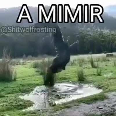 la baja la marca de agua