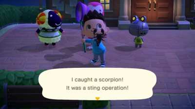 What just happened