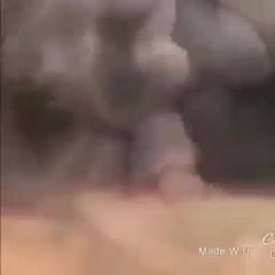 school fight