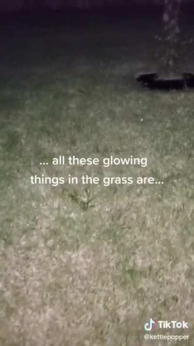 Just playing outside...