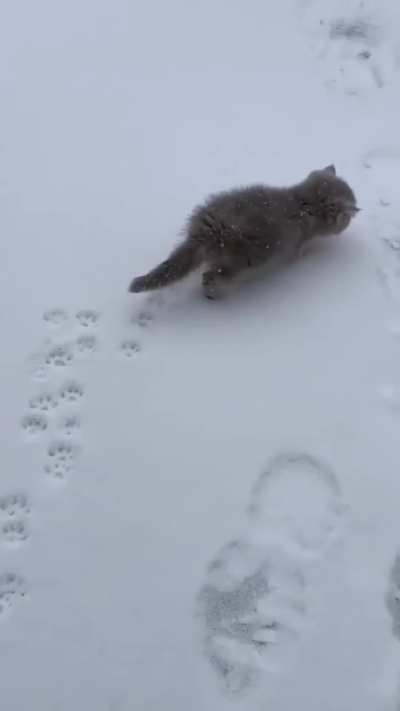 Snow fluff