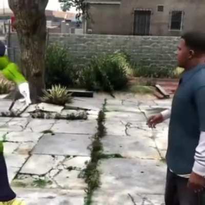 GTA Z