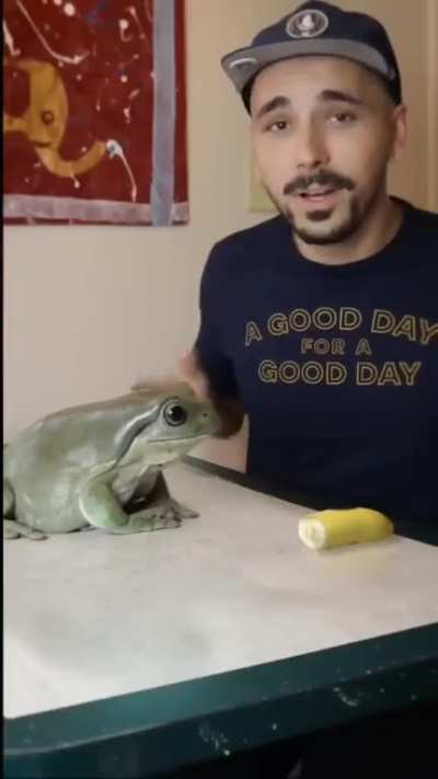 cute pet.