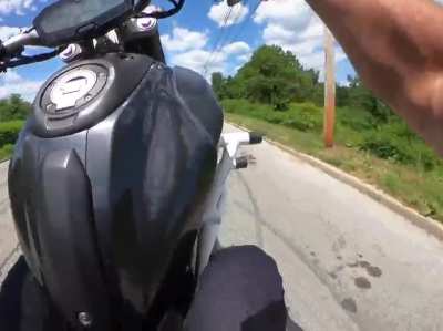 Squid scream