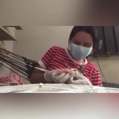 Practicing sutures for medical school…