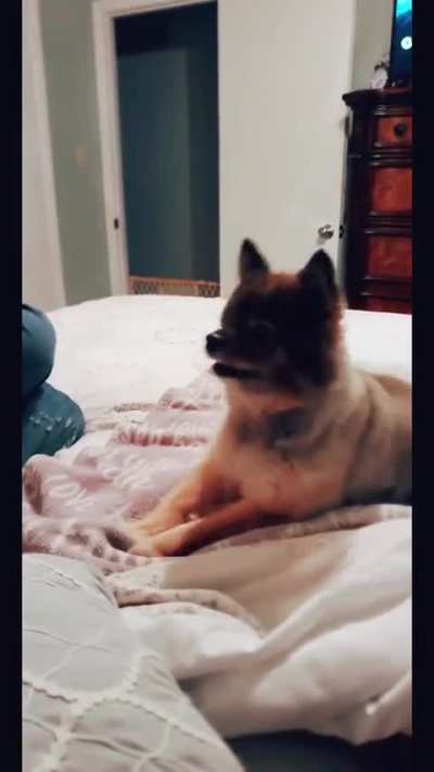Very impatient for treats!