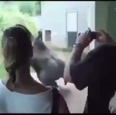 Суббо<wbr>та))