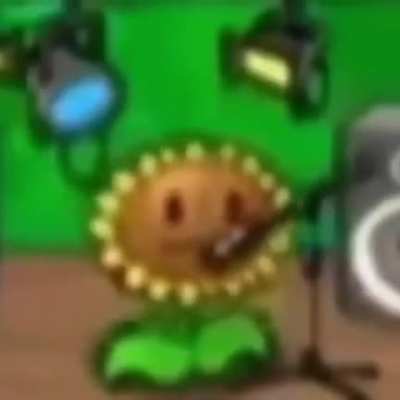 Girasol 😎