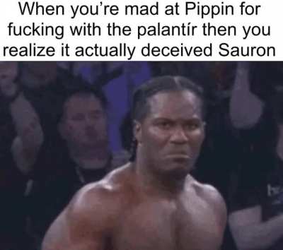 Good fool of a took