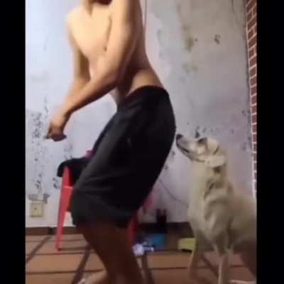 Doing annyoing dance in front of your dog