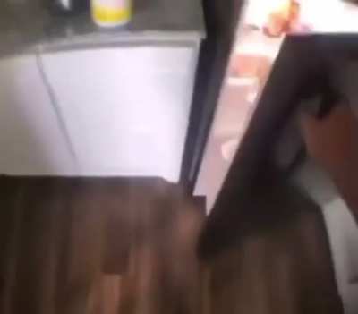 WHO