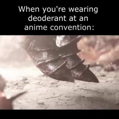 Anime fans