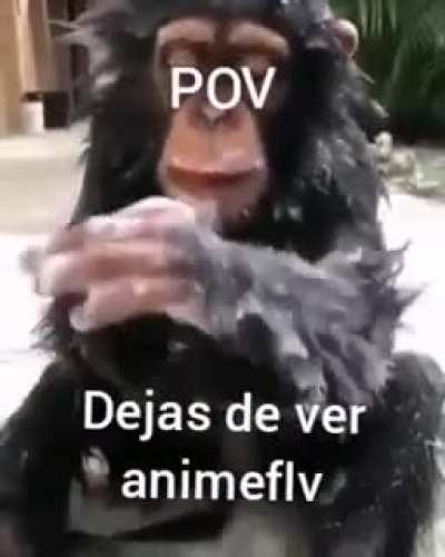 Primer post 😳toy chikito