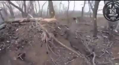 Assault on enemy positions by Ukrainian soldiers of the Dyke Pole Company of the 67th Brigade.