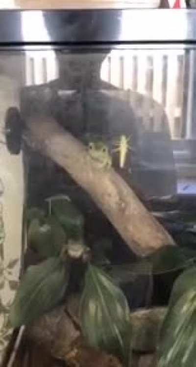 And bon appétit