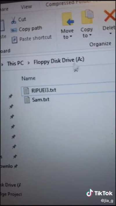 A curious set of floppy Disks, I am not the op of the video