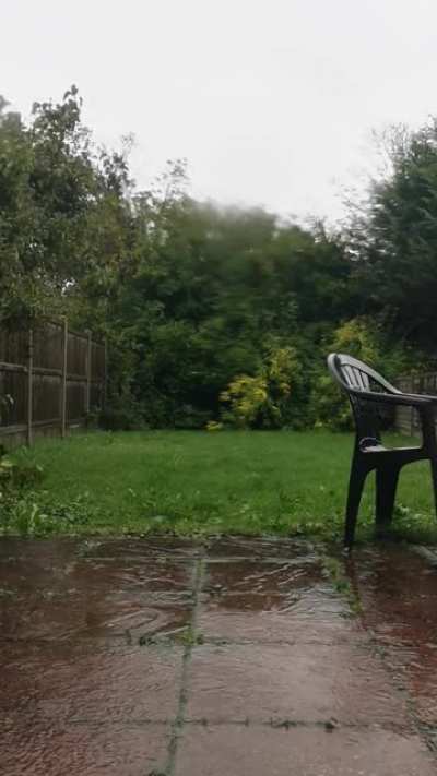 My friends aren't too impressed about the Halloween weather, but I think it's exceedingly lovely.