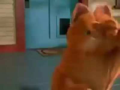 Turkish Garfield Bruh