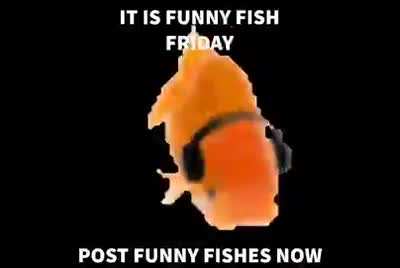Funy phish
