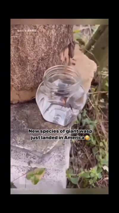 Watch closely