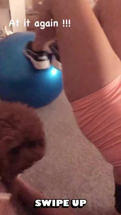 Phat