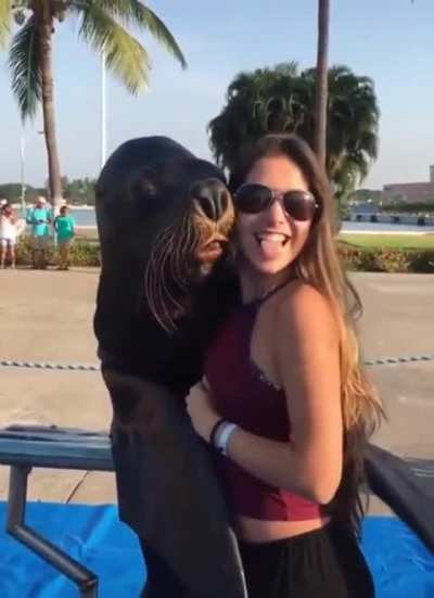 Seal will do anything to go viral…