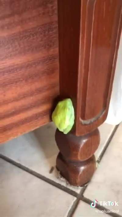 Desloquei a cabeça