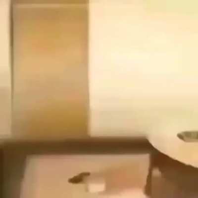Anime😎👍🏿