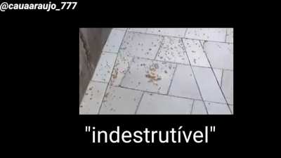 Indestrutível
