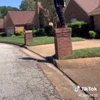 Bruh💀