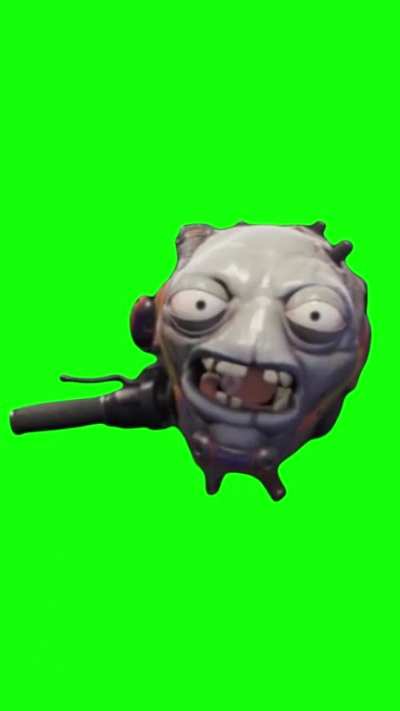[GREEN SCREEN] 