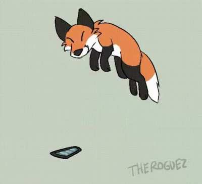 furry_irl