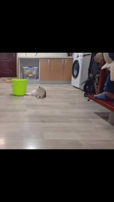 Karma